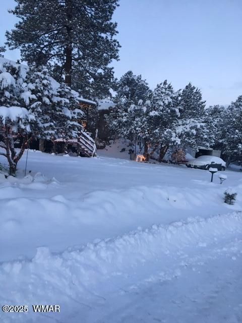 Tiny photo for 3424 Butts Lane, Heber, AZ 85928 (MLS # 258385)