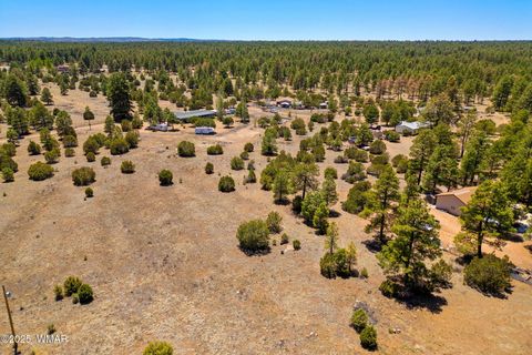 Tiny photo for 2821 Kelton Circle, Overgaard, AZ 85933 (MLS # 256138)