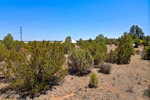 Tiny photo for 2821 Kelton Circle, Overgaard, AZ 85933 (MLS # 256138)