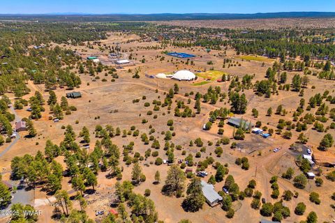 Tiny photo for 2821 Kelton Circle, Overgaard, AZ 85933 (MLS # 256138)