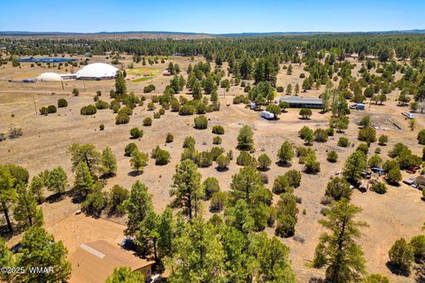 Photo of 2821 Kelton Circle, Overgaard, AZ 85933 (MLS # 256138)