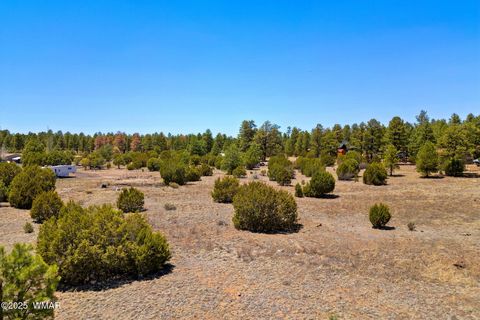 Tiny photo for 2821 Kelton Circle, Overgaard, AZ 85933 (MLS # 256138)