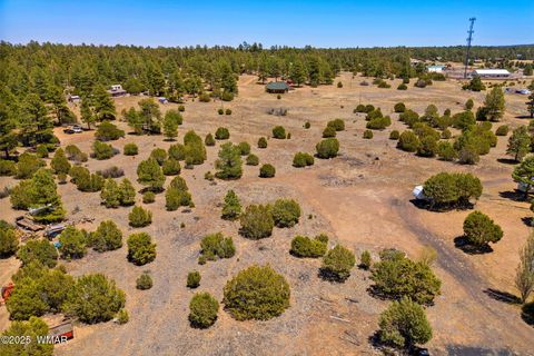 Tiny photo for 2821 Kelton Circle, Overgaard, AZ 85933 (MLS # 256138)