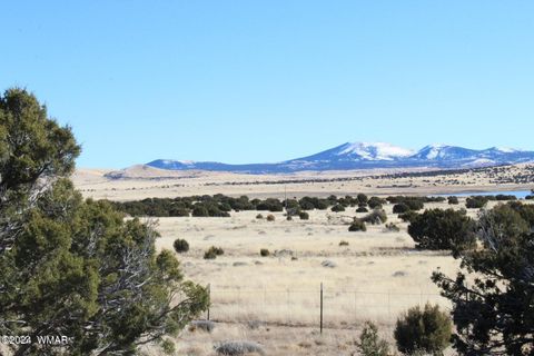 Tiny photo for 13 County Road 8006, Concho, AZ 85924 (MLS # 258656)