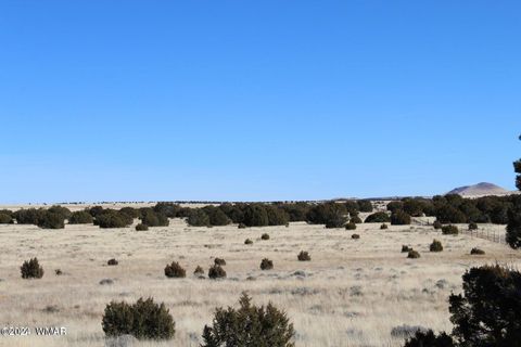 Photo of 13 County Road 8006, Concho, AZ 85924 (MLS # 258656)