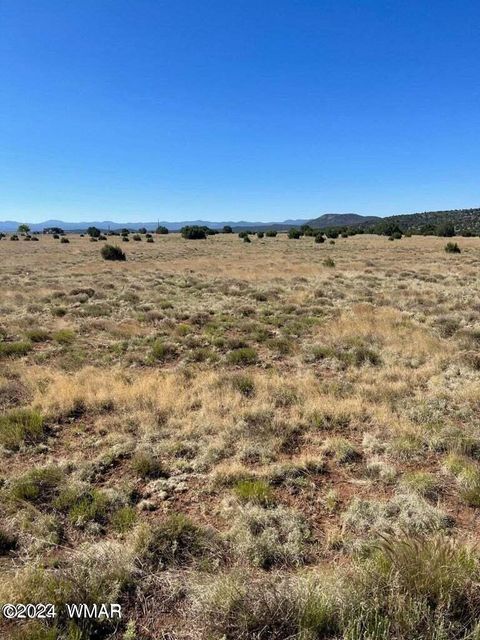 Tiny photo for 13 County Road 8006, Concho, AZ 85924 (MLS # 258656)
