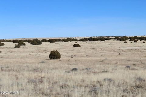 Tiny photo for 13 County Road 8006, Concho, AZ 85924 (MLS # 258656)