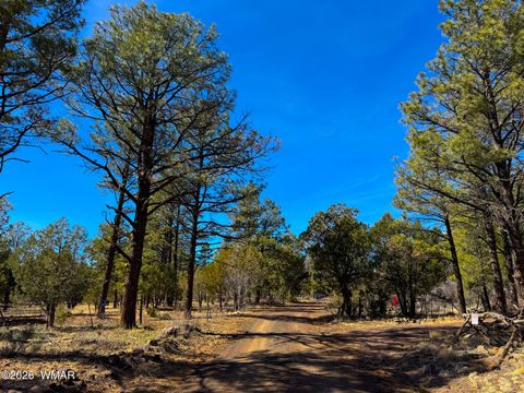 Photo of 11 Co Rd 3262 5 Acres, Vernon, AZ 85940 (MLS # 261500)