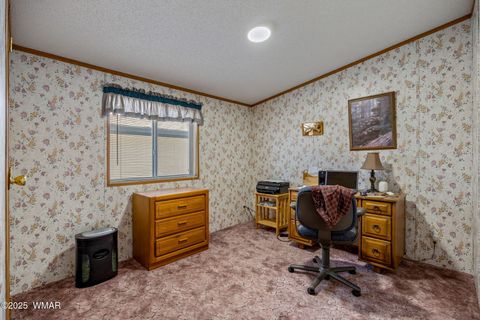 Tiny photo for 620 N 41st Avenue, Show Low, AZ 85901 (MLS # 257379)