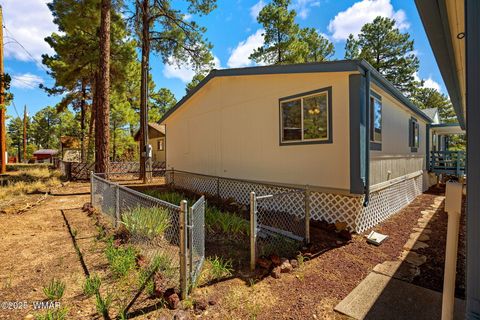 Tiny photo for 620 N 41st Avenue, Show Low, AZ 85901 (MLS # 257379)