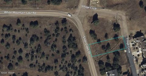 Photo of 8256 Silver Creek Drive, Show Low, AZ 85901 (MLS # 258449)