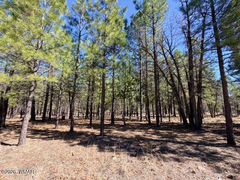 Tiny photo for 1921 Pine Canyon Drive, Happy Jack, AZ 86024 (MLS # 260009)