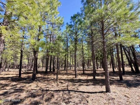 Tiny photo for 1921 Pine Canyon Drive, Happy Jack, AZ 86024 (MLS # 260009)