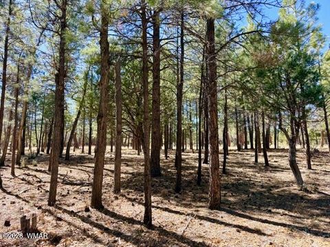 Tiny photo for 1921 Pine Canyon Drive, Happy Jack, AZ 86024 (MLS # 260009)