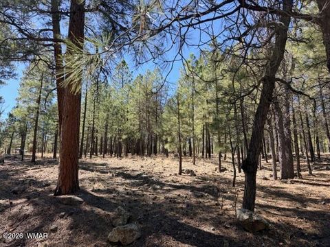 Tiny photo for 1921 Pine Canyon Drive, Happy Jack, AZ 86024 (MLS # 260009)