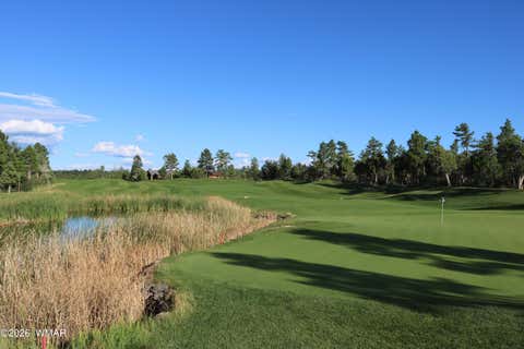 Tiny photo for 4531 W Foxglove Lane, Show Low, AZ 85901 (MLS # 262072)