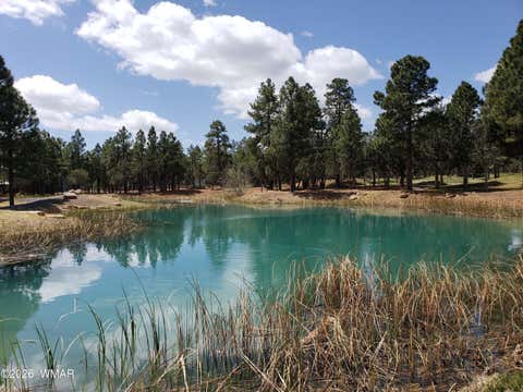 Tiny photo for 4531 W Foxglove Lane, Show Low, AZ 85901 (MLS # 262072)