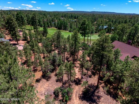 Photo of 4531 W Foxglove Lane, Show Low, AZ 85901 (MLS # 262072)