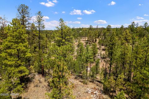 Photo of 2975 Canary Lane, Heber, AZ 85928 (MLS # 257455)