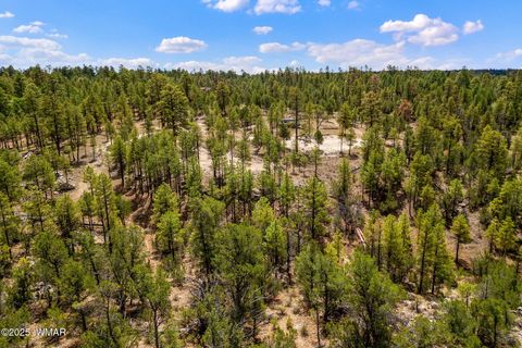 Tiny photo for 2975 Canary Lane, Heber, AZ 85928 (MLS # 257455)