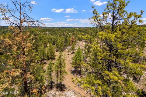 Tiny photo for 2975 Canary Lane, Heber, AZ 85928 (MLS # 257455)