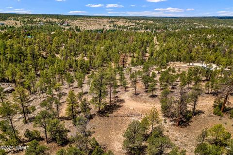 Tiny photo for 2975 Canary Lane, Heber, AZ 85928 (MLS # 257455)