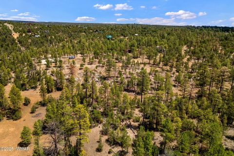 Tiny photo for 2975 Canary Lane, Heber, AZ 85928 (MLS # 257455)