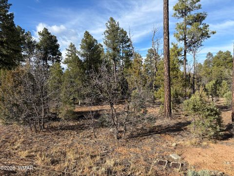 Tiny photo for 6992 Wagon Wheel Lane, Lakeside, AZ 85929 (MLS # 259960)