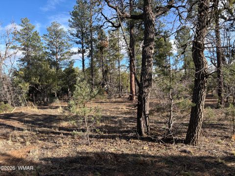 Tiny photo for 6992 Wagon Wheel Lane, Lakeside, AZ 85929 (MLS # 259960)