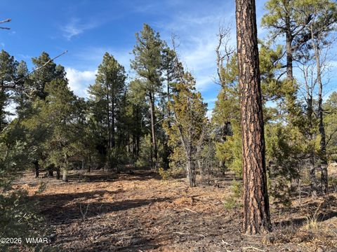 Tiny photo for 6992 Wagon Wheel Lane, Lakeside, AZ 85929 (MLS # 259960)