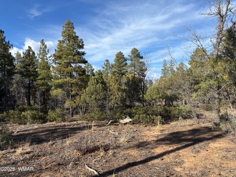 Tiny photo for 6992 Wagon Wheel Lane, Lakeside, AZ 85929 (MLS # 259960)