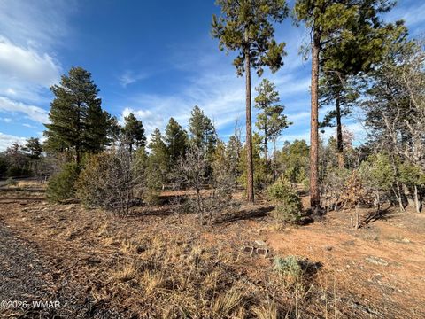 Tiny photo for 6992 Wagon Wheel Lane, Lakeside, AZ 85929 (MLS # 259960)