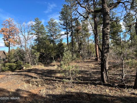 Tiny photo for 6992 Wagon Wheel Lane, Lakeside, AZ 85929 (MLS # 259960)