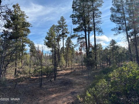 Tiny photo for 6992 Wagon Wheel Lane, Lakeside, AZ 85929 (MLS # 259960)