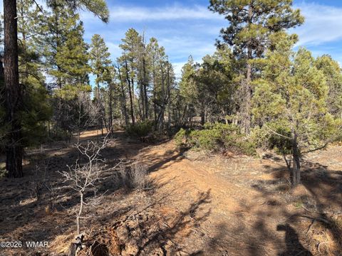 Tiny photo for 6992 Wagon Wheel Lane, Lakeside, AZ 85929 (MLS # 259960)