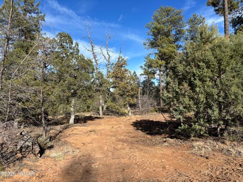 Photo of 6992 Wagon Wheel Lane, Lakeside, AZ 85929 (MLS # 259960)