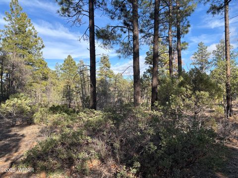 Tiny photo for 6992 Wagon Wheel Lane, Lakeside, AZ 85929 (MLS # 259960)