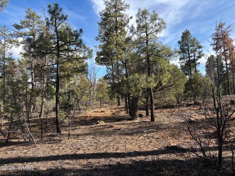 Tiny photo for 6992 Wagon Wheel Lane, Lakeside, AZ 85929 (MLS # 259960)