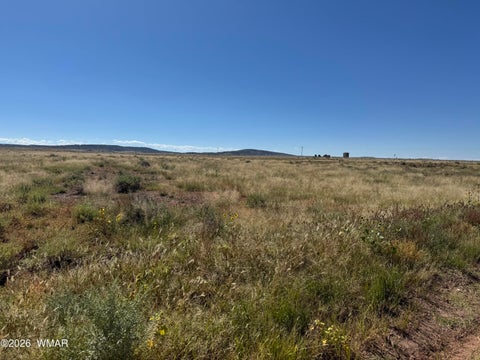Tiny photo for TBD 212-25-077A, Concho, AZ 85924 (MLS # 263433)