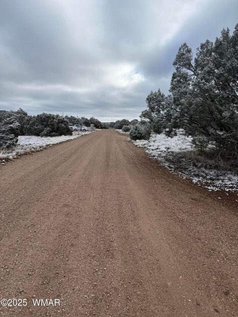 Tiny photo for 8413 Navajo Drive, Show Low, AZ 85901 (MLS # 258837)