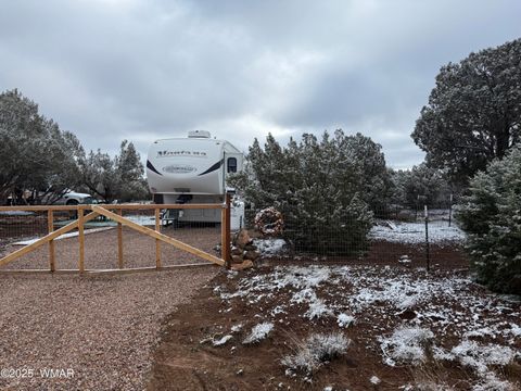 Tiny photo for 8413 Navajo Drive, Show Low, AZ 85901 (MLS # 258837)