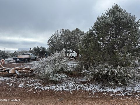 Tiny photo for 8413 Navajo Drive, Show Low, AZ 85901 (MLS # 258837)