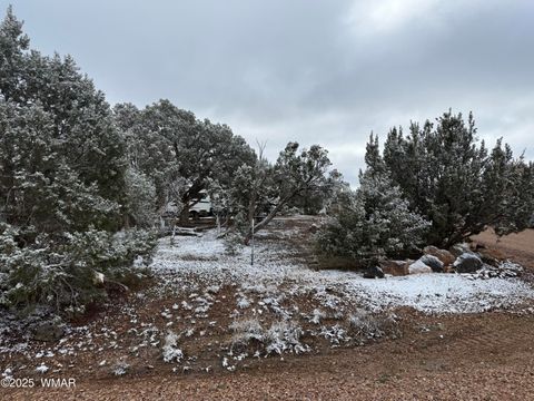 Tiny photo for 8413 Navajo Drive, Show Low, AZ 85901 (MLS # 258837)