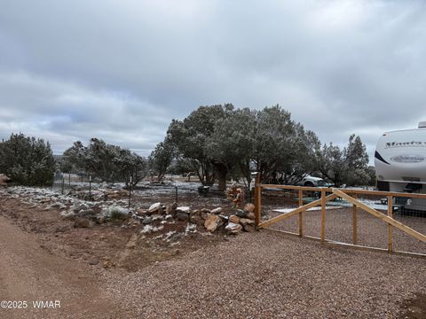 Tiny photo for 8413 Navajo Drive, Show Low, AZ 85901 (MLS # 258837)