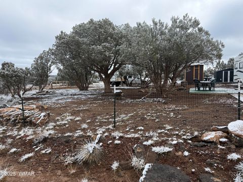 Tiny photo for 8413 Navajo Drive, Show Low, AZ 85901 (MLS # 258837)