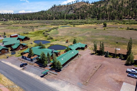 Tiny photo for 80 1120 UNIT 203 (CABIN 251), Greer, AZ 85927 (MLS # 262640)