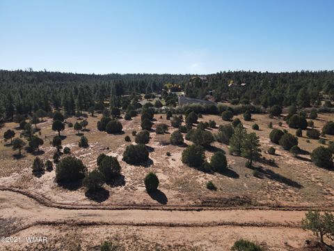 Tiny photo for TBD Iron Spur / Saddle Bow Trail, Show Low, AZ 85901 (MLS # 251430)