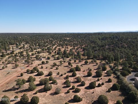 Tiny photo for TBD Iron Spur / Saddle Bow Trail, Show Low, AZ 85901 (MLS # 251430)