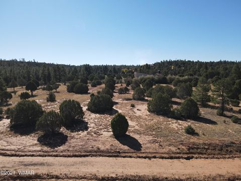Photo of TBD Iron Spur / Saddle Bow Trail, Show Low, AZ 85901 (MLS # 251430)