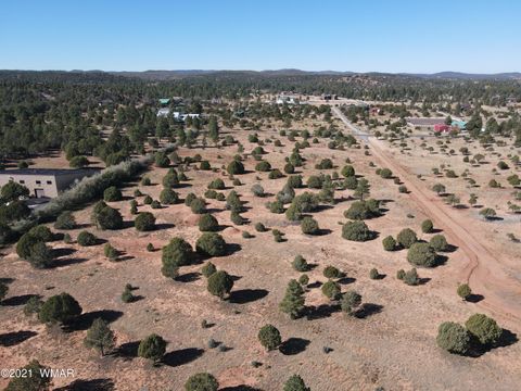 Tiny photo for TBD Iron Spur / Saddle Bow Trail, Show Low, AZ 85901 (MLS # 251430)